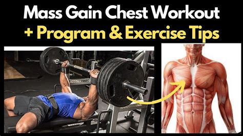 Mass Workout For Chest Huge Hypertrophy