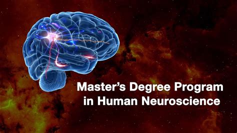 Master S Degree Programme In Human Neuroscience Youtube