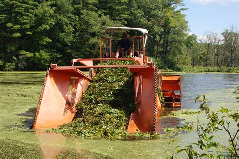 Mechanical Harvesting Weed Removal