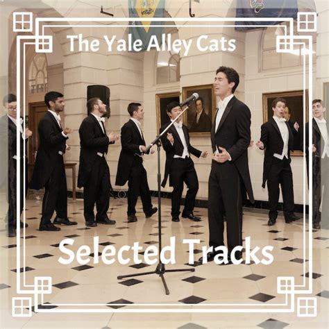 Meet The Cats The Yale Alley Cats Yale S Premier Undergraduate A