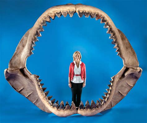 Megaladon Weight: Discover Fisch Facts