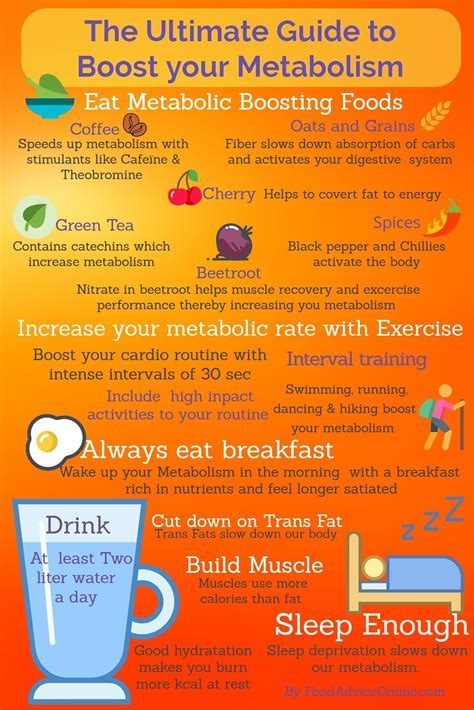 Metabolic Rate: Boost With Corn