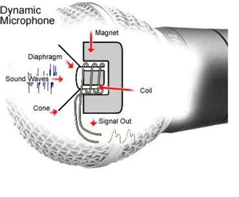 Microphone Diagram Mic Work Headphones Microphones Sound Sci