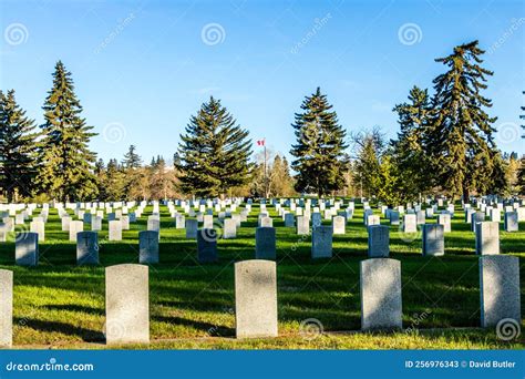 Military Markers At Burnsland Cemetary Calgary Alberta Canada