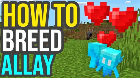 Minecraft Allay How To Find Tame And Breed