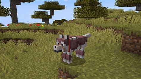 Minecraft Armored Paws Drop Brings Armadillos New Wolf Variations To