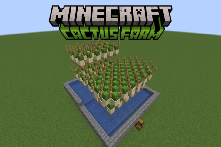 Minecraft Cactus Farm Layout