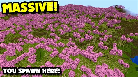 Minecraft Cherry Blossom: Easy Spawn Guide