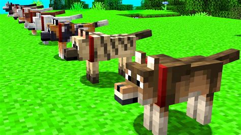 Minecraft Dog Biomes: Ultimate Survival Tips