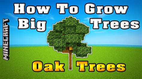 How To Save A Big Oak Tree? Diy Solutions - Black Atlantic