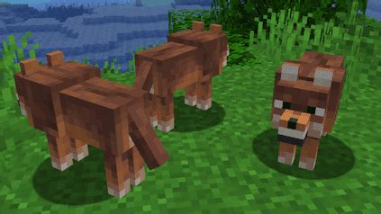 Minecraft Wolf Variants Apex Hosting