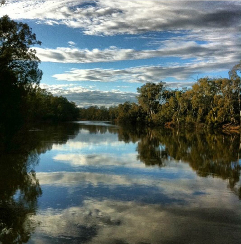 Miniature Train Rides Sunday Echuca Moama District Local Producers Hub