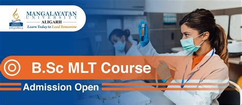 Mlt Program Price: Affordable Options Available