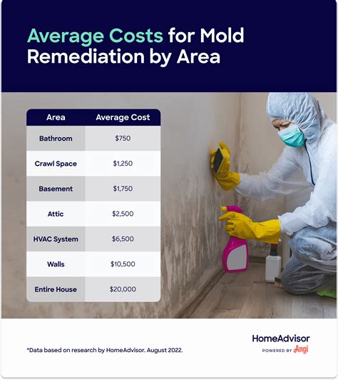 Mold Remediation And Mold Removal Why It S Important To Get Rid Of