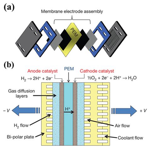 Molecules Free Full Text Advances In Low Pt Loading Membrane