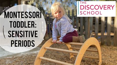 Montessori Toddler Sensitive Periods Youtube