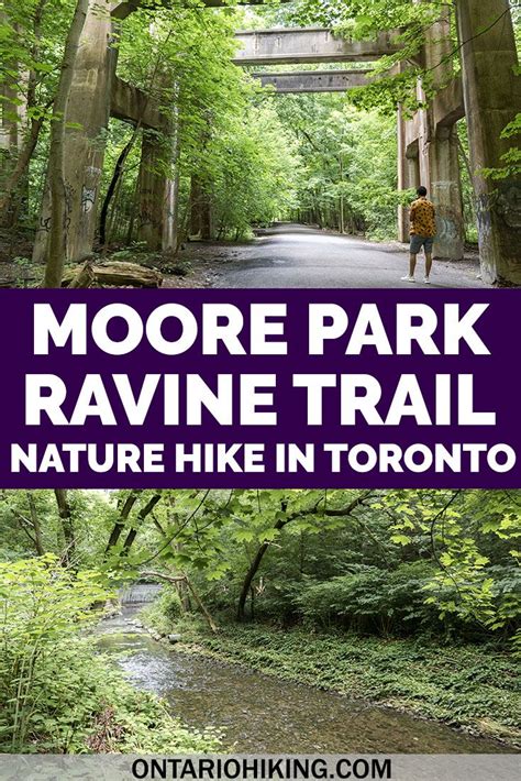 Moore Park Ravine Trail A Peaceful Retreat To The Forest In Toronto