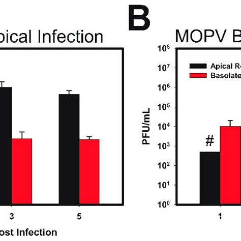 Mopeia Virus Replication In Polarized Caco 2 Cells Follows A Similar