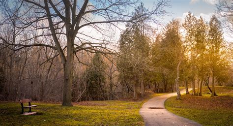 Morningside Park Scarborough