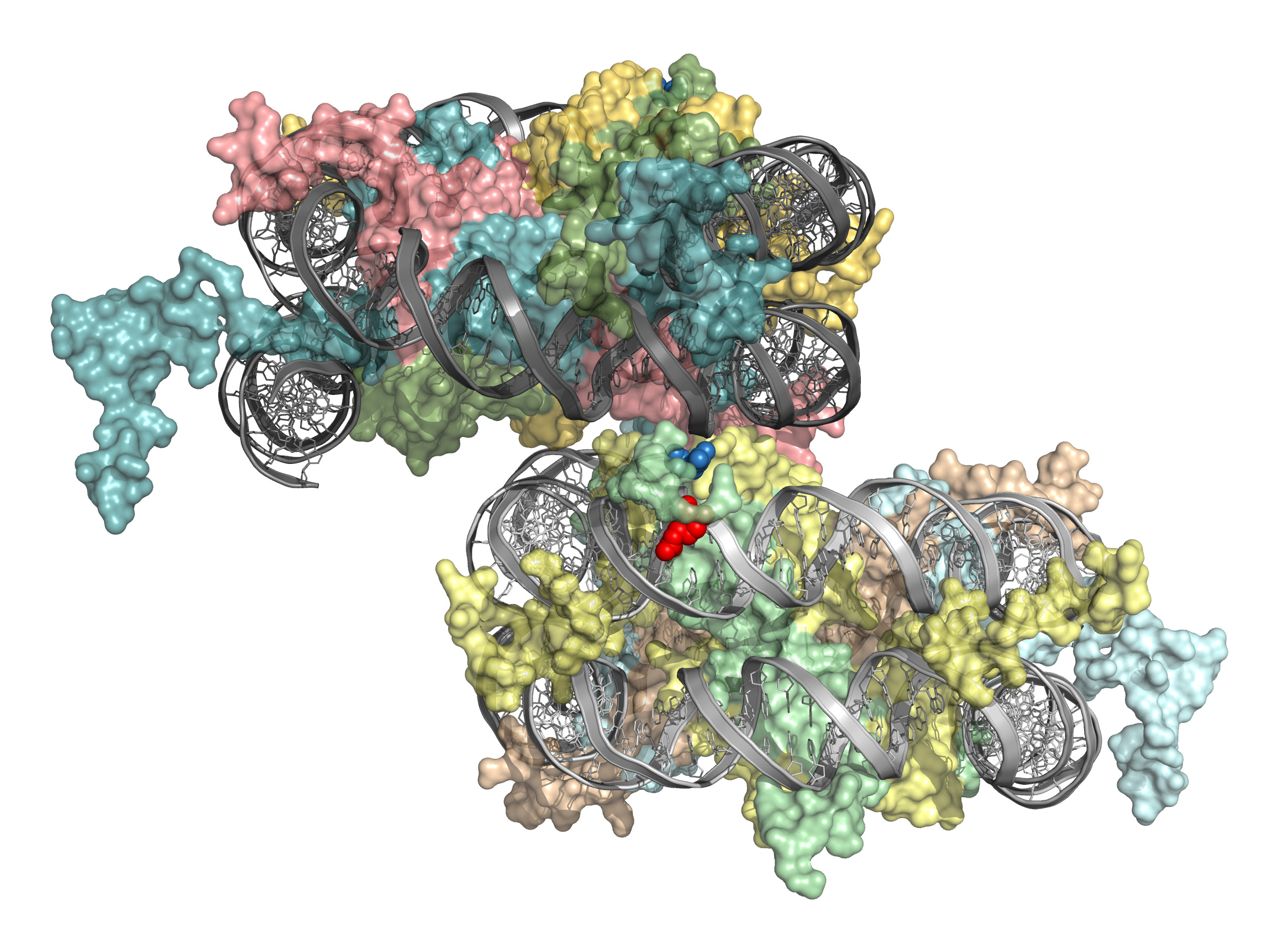 Mstp Interviews Decoded: Get Accepted