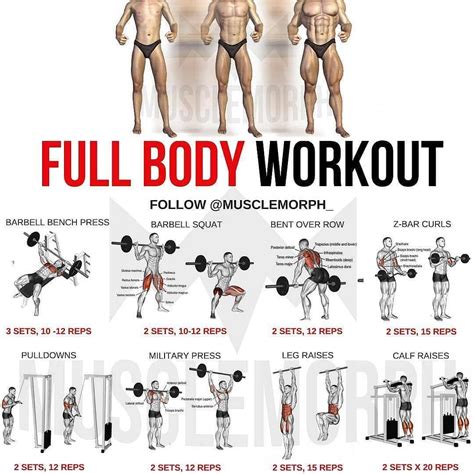 Muscle Building Workouts Fitness Body Workout Routine Workout