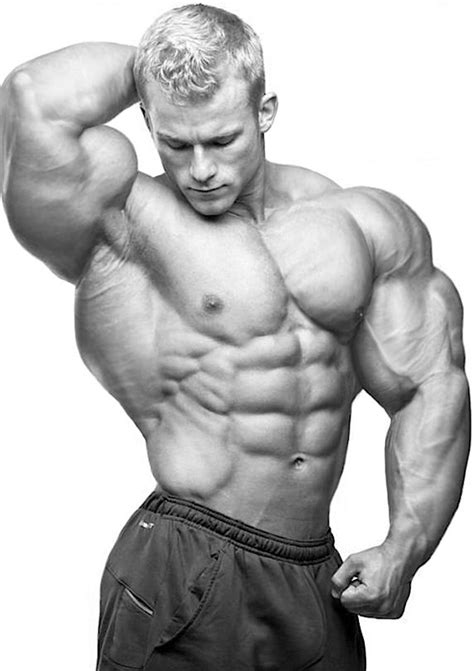 Muscles Everywhere Men Fit Board Workouts Bodybuilders