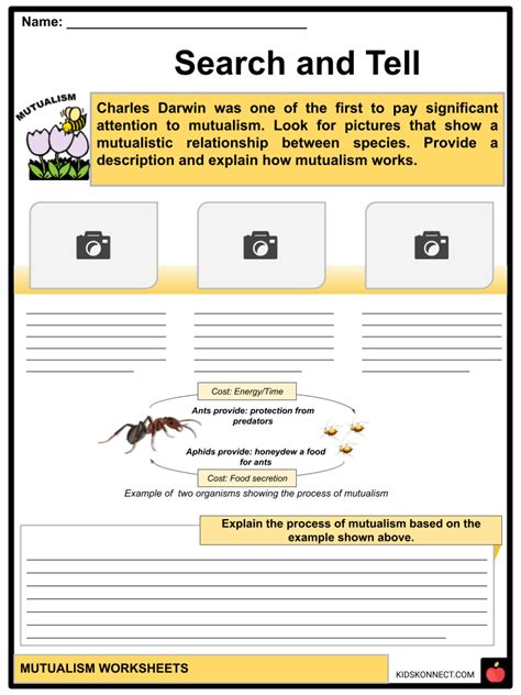 Mutualism Worksheets Facts Definition Examples Benefits