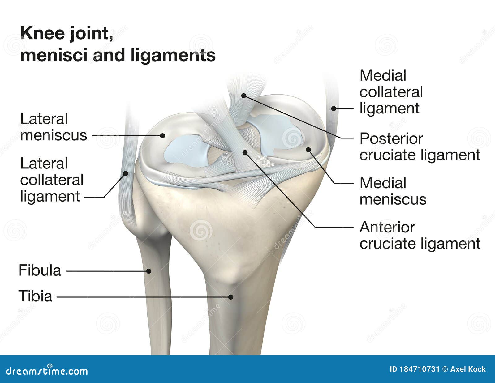 My Top 3 Knee Stability Exercises Ligament And Meniscus Injuries