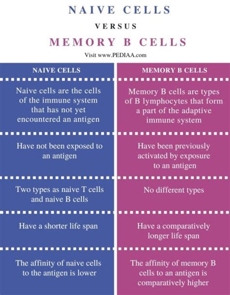 Naive Cells And Memory