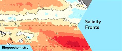 Nasa Salinity Salinity Fronts