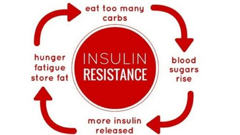 Natural Remedies For Insulin Resistance Work Dr Thomas Lodi