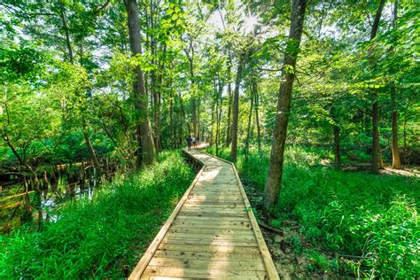 Natural Reserve Parks Near Me