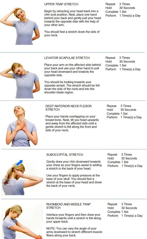 Neck Muscle Pull Exercise