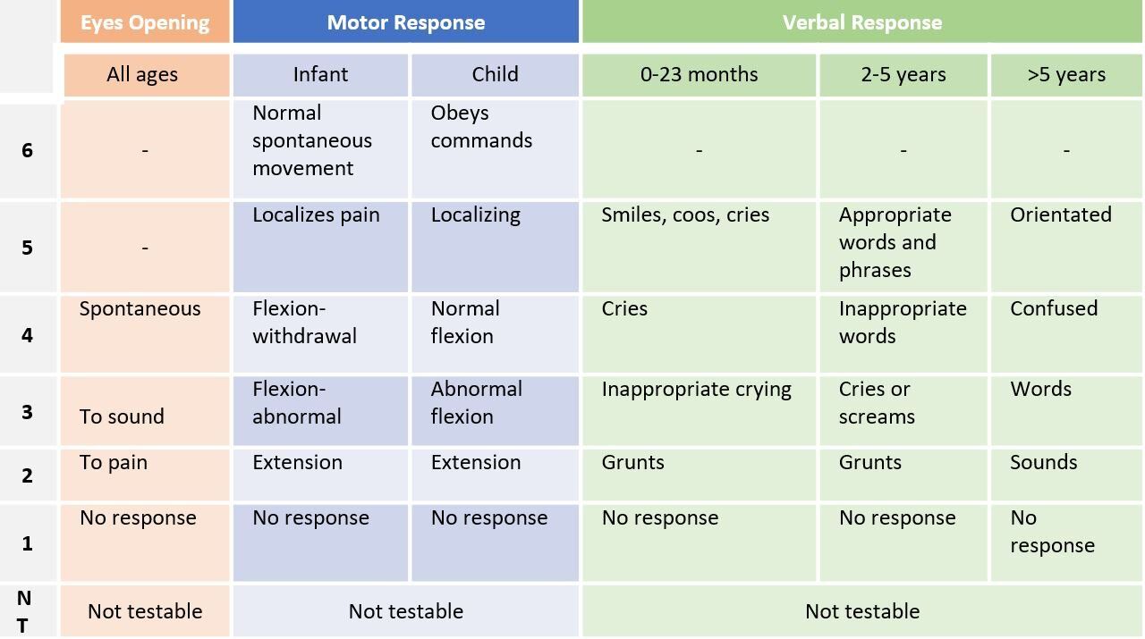 Neurological Exam: Quick Checklist For Kids