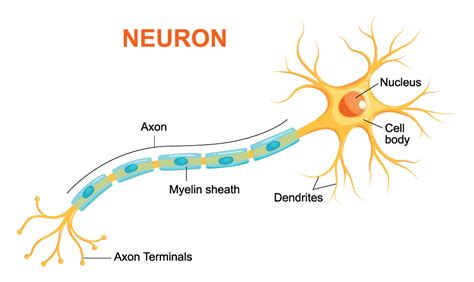 Neuron This Year