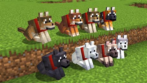 New Dogs Minecraft