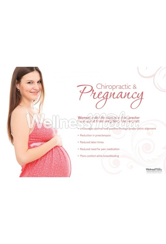 New Pregnancy Care Guide Printed Poster