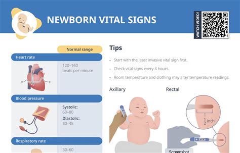 Newborn Vital Signs: Monitor & Ensure Baby's Safety