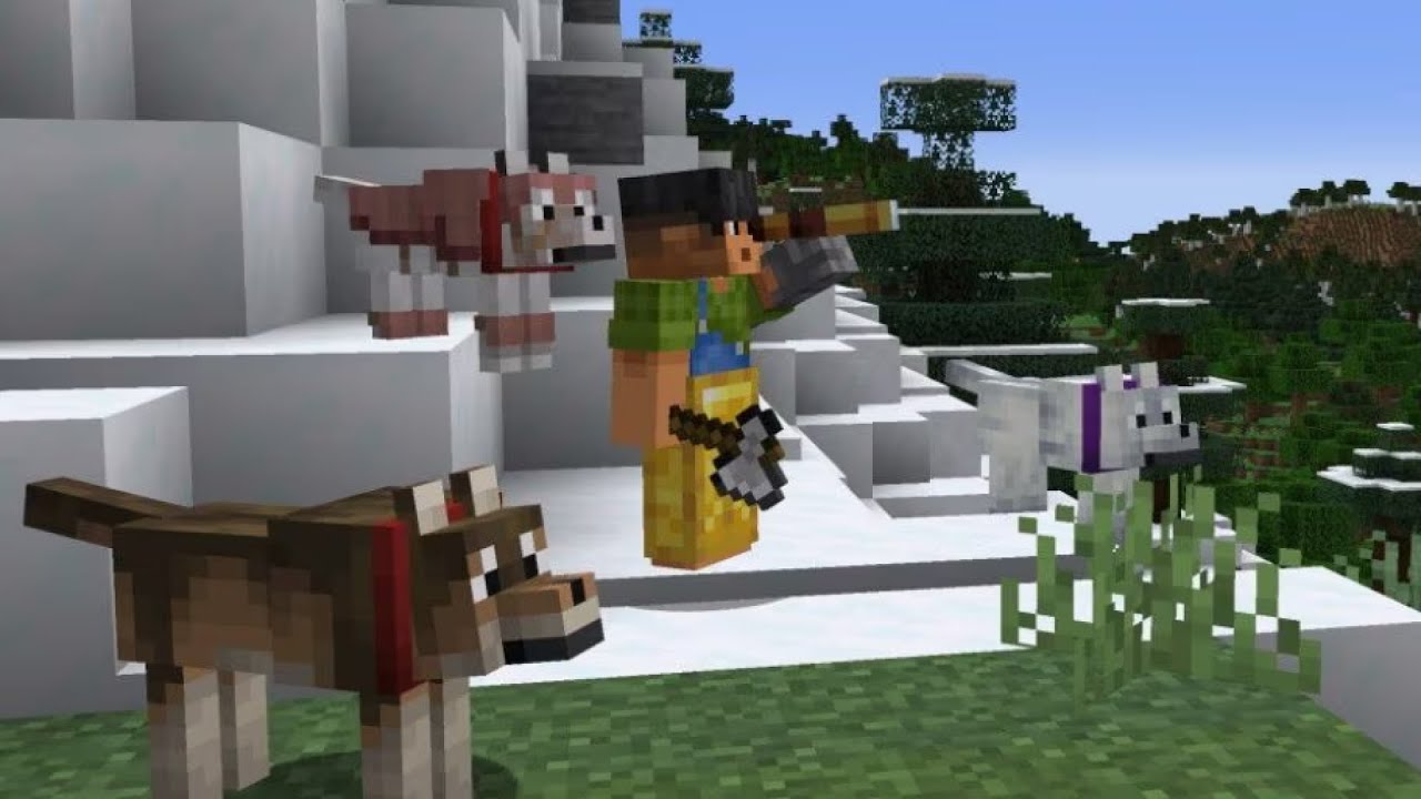 News In Minecraft Snapshot 24W10a New Dog Variants Youtube