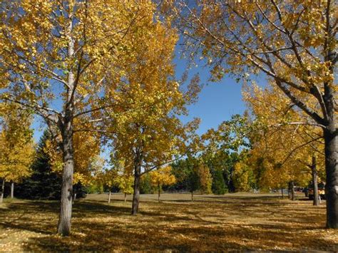 North Glenmore Park Calgary All You Need To Know Before You Go