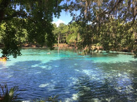 Ocala National Forest Salt Springs Rec Area Fort Mccoy Fl