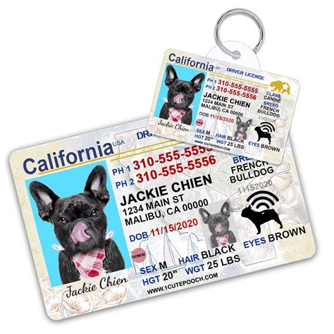 Official Pet Driver S License Personalized Pet Id