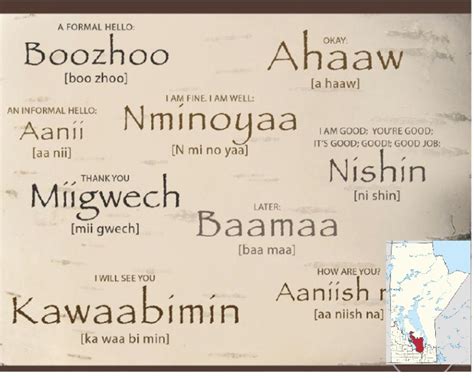 Ojibwe Language Dictionary: Learn Native Phrases