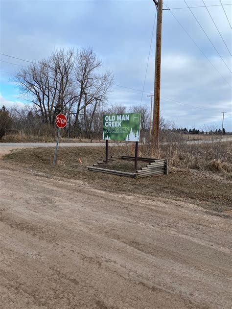 Old Man Creek Nursery