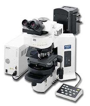 Olympus Bx 61 Central Microscopy Research Facility