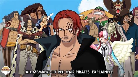 One Piece Crew Members: Meet The Powerful Pirates