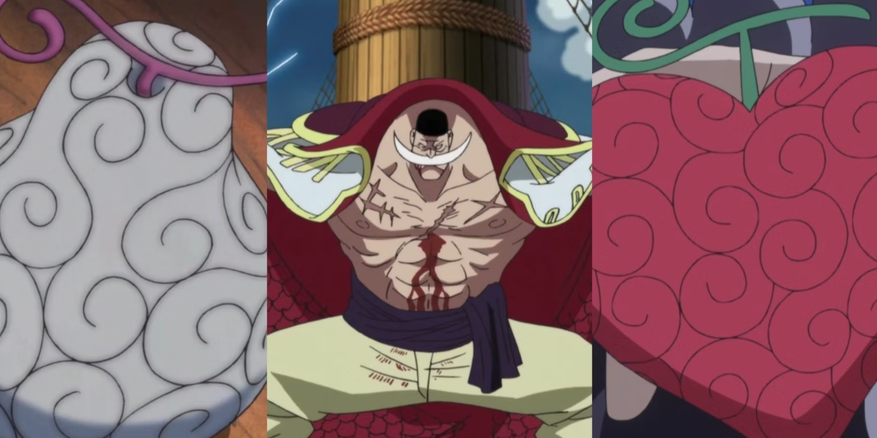 One Piece Paramecia Type Devil Fruits Explained