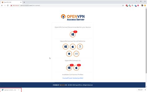 Openvpn Guide: Configure Like A Pro Quickly