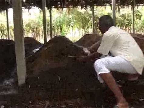 Organic Farming A Success Story In Tamil Nadu India Pespro