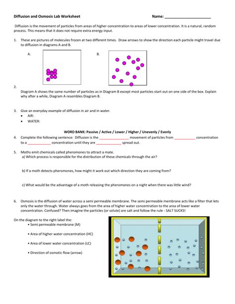 Osmotic Pressure Worksheet Osmotic Pressure Lesson Plans Worksheets